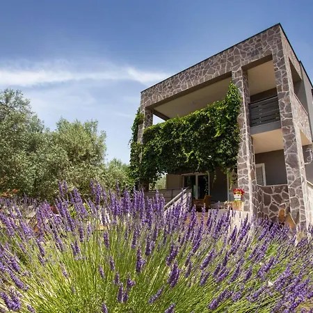 Brand New Flat Rabota