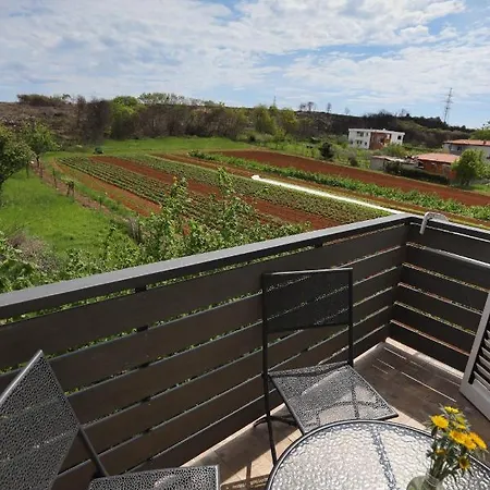 Brand New Flat Rabota Apartment
